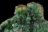 Fluorite Crystal Cluster with Galena- Rogerley Mine #135703-2